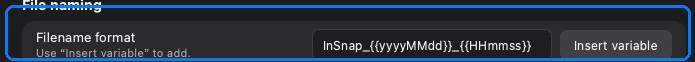 The filename template field