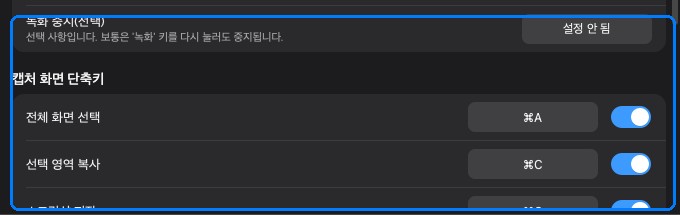 캡처 화면 단축키 섹션