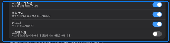 녹화 옵션